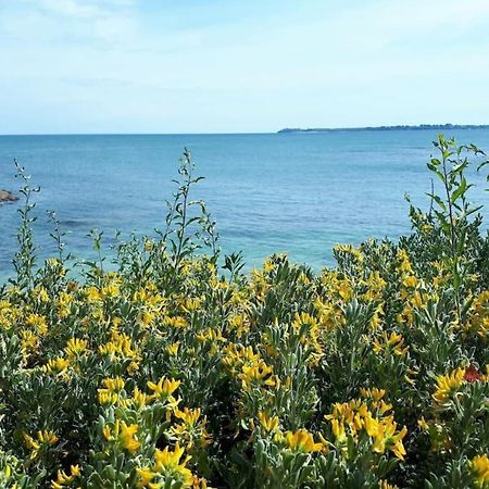Pieds Dans L'Eau T2 Archi Cosy - Vue Mer 180 Ploemeur Luaran gambar
